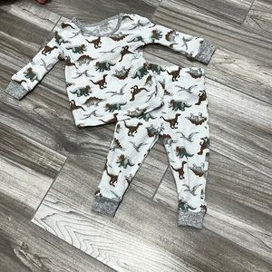 Dinosaur bamboo Pajamas